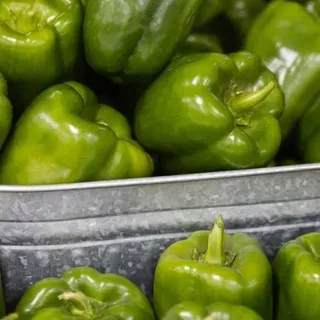 thumbnail for publication: A Review of Bell Pepper Production and Price Trends from 2010 to 2022